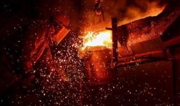 山东实事爆料最新消息新闻,重大事件引发社会关注